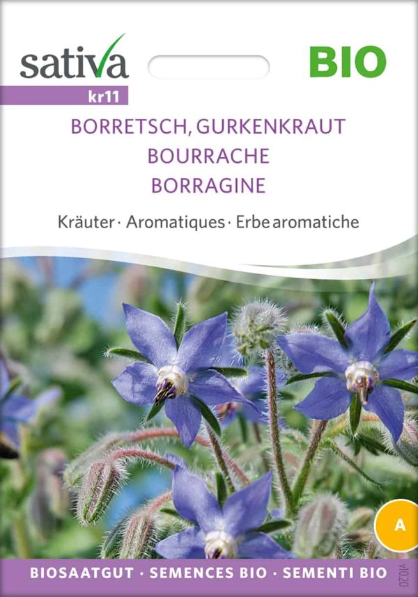 Borretsch | Gurkenkraut