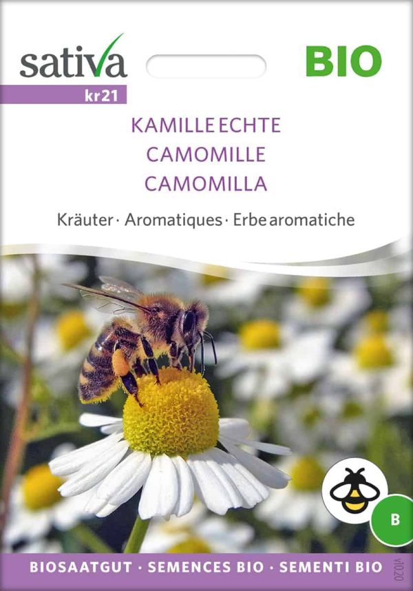 Echte Kamille