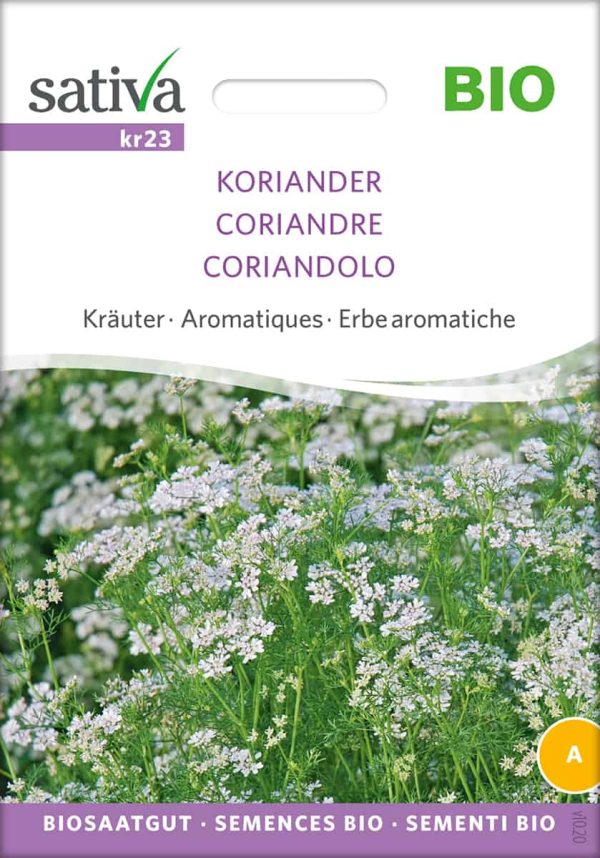 Koriander