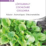 Kräuter löffelkraut samen bio saatgut sativa kompost&liebe kaufen online shop