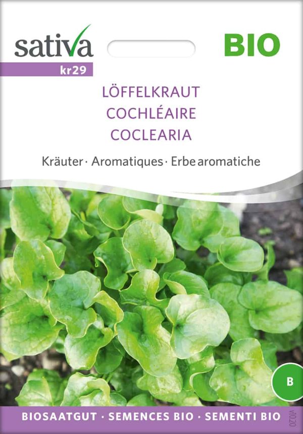 Kräuter löffelkraut samen bio saatgut sativa kompost&liebe kaufen online shop