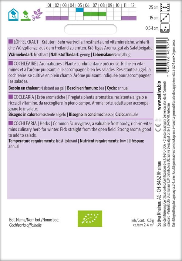 Löffelkraut – Bild 2