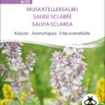 Muskateller Salbei samen bio saatgut sativa kompost&liebe kaufen online shop