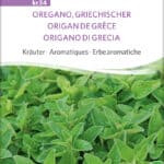 griechischer Oregano samen bio saatgut sativa kompost&liebe kaufen online shop