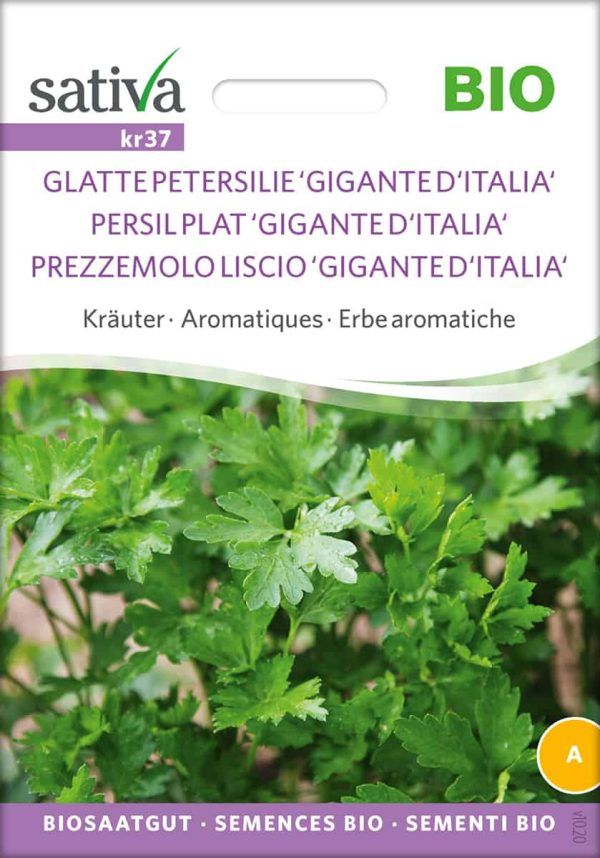 Glatte Petersilie "Gigante D'Italia"