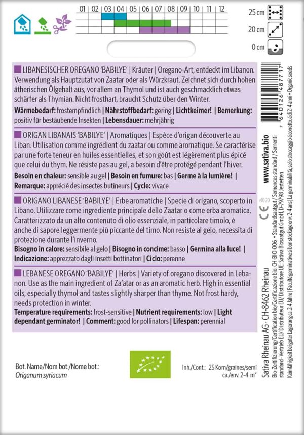 Libanesischer Oregano 'Babilye' – Bild 2