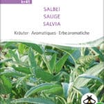 salbei krÃ¤uter tee samen bio saatgut sativa kompost&liebe kaufen online shop