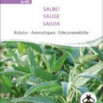 salbei kräuter tee samen bio saatgut sativa kompost&liebe kaufen online shop