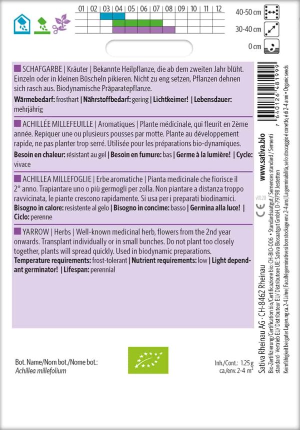Schafgarbe – Bild 2