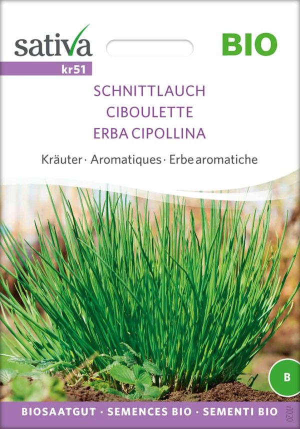Schnittlauch
