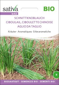 Schnittknoblauch samen bio saatgut sativa kompost&liebe kaufen online shop