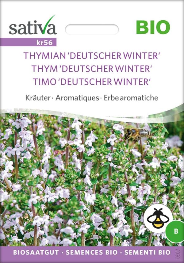 thymian deutscher winter kräuter alte sorten samenfest pro specie rara samen bio saatgut sativa kompost&liebe kaufen online shop