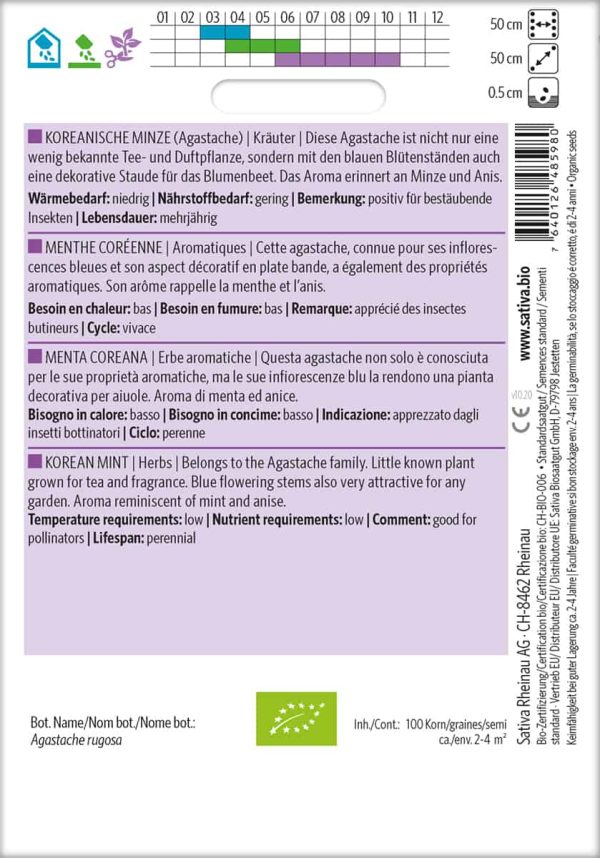 Koreanische Minze – Bild 2