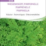 wiesenknopf pimpernelle pro specie rara samen bio saatgut sativa kompost&liebe kaufen online shop