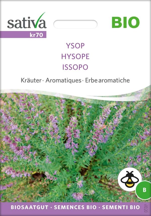 Ysop