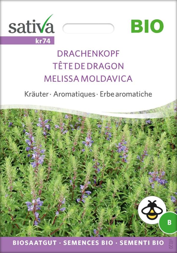 Drachenkopf