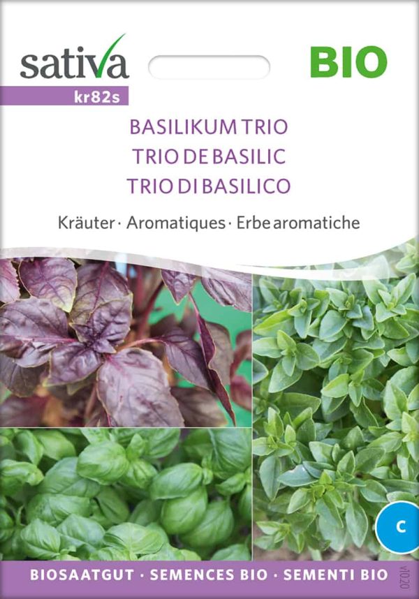 Basilikum Trio (Saatscheiben)