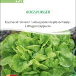 Augspurger Kopfsalat Samen bio sativa saatgut kaufen