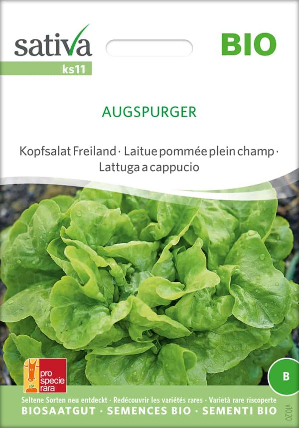 Augspurger Kopfsalat Samen bio sativa saatgut kaufen