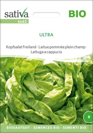 ovation kopfsalat freiland Saatgut,Bio Sativa kompost und liebe kaufen alte sorten samenfest online shop garten selbstversorger