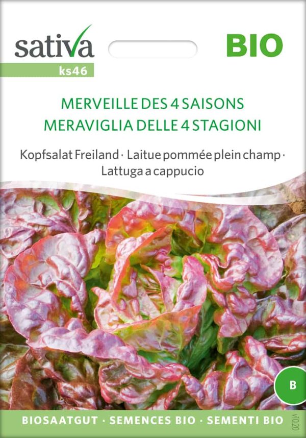 Merveille Des 4 Saisons