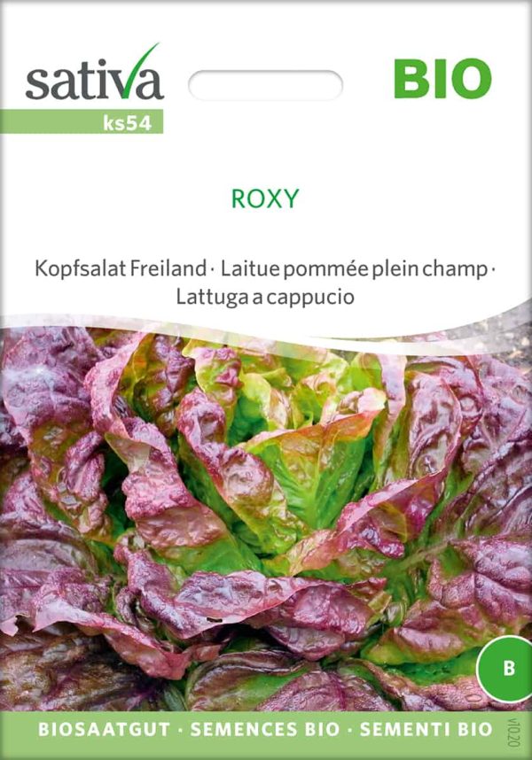 roxy kopfsalat freiland Saatgut,Bio Sativa kompost und liebe kaufen alte sorten samenfest online shop garten selbstversorger