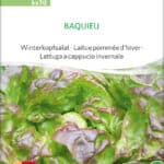 baquieu Winterkopfsalat Saatgut,Bio Sativa kompost und liebe kaufen alte sorten samenfest online shop garten selbstversorger