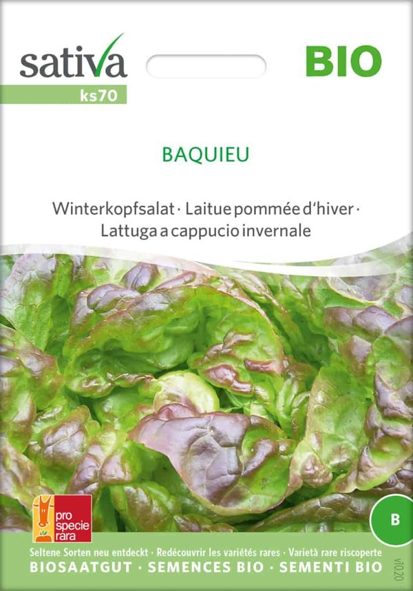 baquieu Winterkopfsalat Saatgut,Bio Sativa kompost und liebe kaufen alte sorten samenfest online shop garten selbstversorger