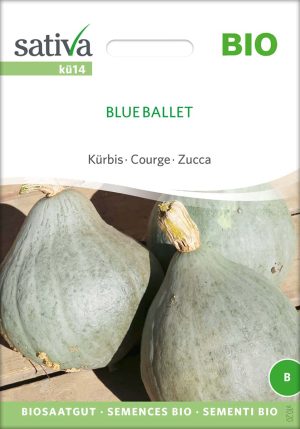 Blue Ballet samen bio saatgut sativa kompost&liebe kaufen online shop