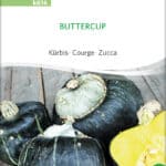 Kürbis Buttercup samen bio saatgut sativa kompost&liebe kaufen online shop