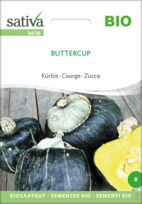 KÃ¼rbis Buttercup samen bio saatgut sativa kompost&liebe kaufen online shop