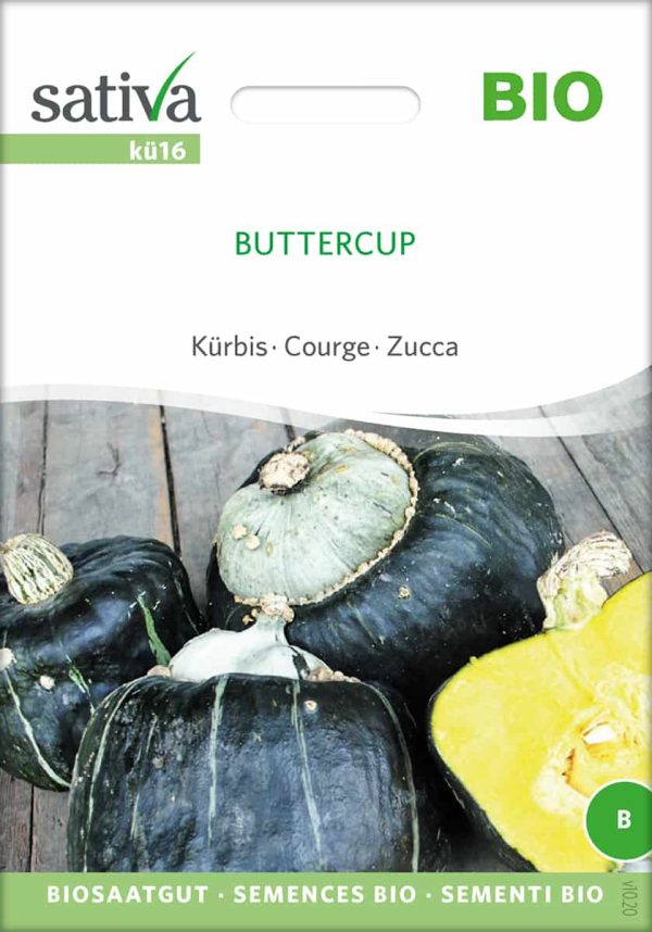Kürbis Buttercup samen bio saatgut sativa kompost&liebe kaufen online shop