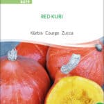Kürbis red kuri samen bio saatgut sativa kompost&liebe kaufen online shop