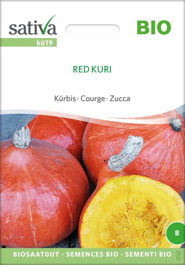 Kürbis red kuri samen bio saatgut sativa kompost&liebe kaufen online shop