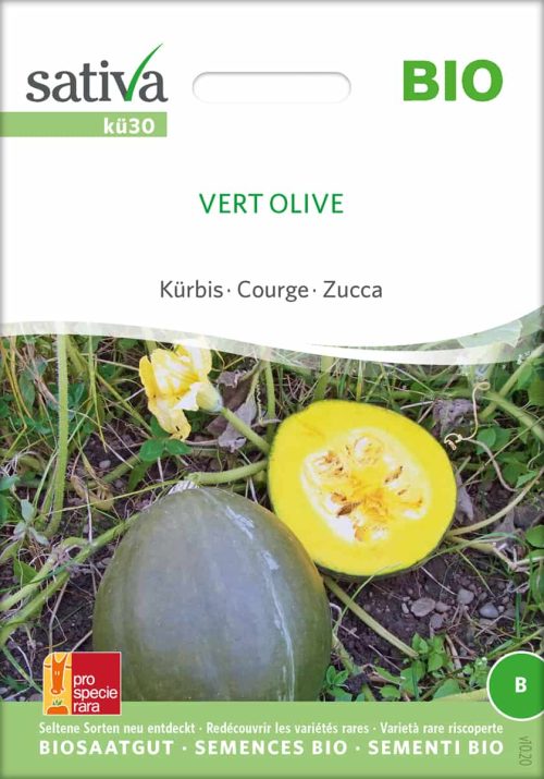 Vert Olive kÃ¼rbis samen bio saatgut sativa kompost&liebe kaufen online shop