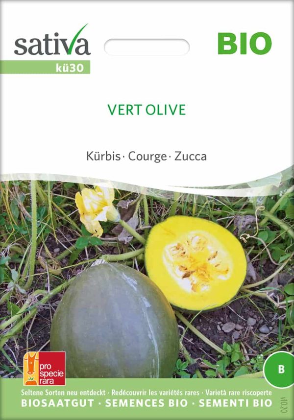 Vert Olive kürbis samen bio saatgut sativa kompost&liebe kaufen online shop