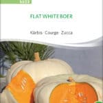 Kürbis Flat White Boer samen bio saatgut sativa kompost&liebe kaufen online shop