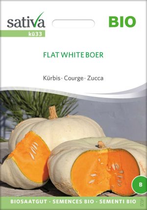 Kürbis Flat White Boer samen bio saatgut sativa kompost&liebe kaufen online shop