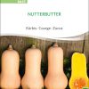 Kürbis Nutterbutter samen bio saatgut sativa kompost&liebe kaufen online shop