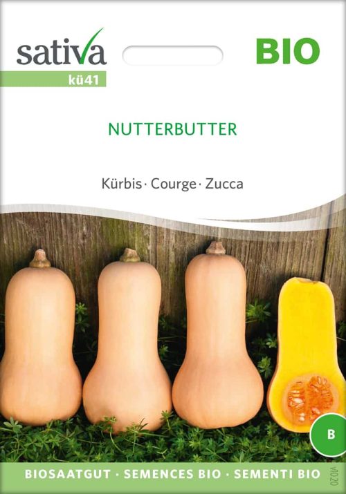 Kürbis Nutterbutter samen bio saatgut sativa kompost&liebe kaufen online shop