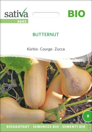 Kürbis Butternut samen bio saatgut sativa kompost&liebe kaufen online shop