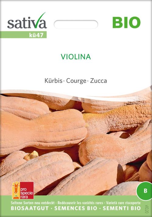 Kürbis Violina samen bio saatgut sativa kompost&liebe kaufen online shop