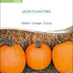 Kürbis Jack O'Lantern samen bio saatgut sativa kompost&liebe kaufen online shop