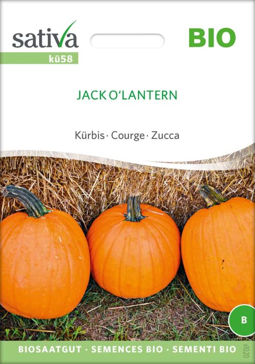 Kürbis Jack O'Lantern samen bio saatgut sativa kompost&liebe kaufen online shop