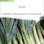 Porree Lauch Hilari samen bio saatgut sativa kompost&liebe kaufen online shop