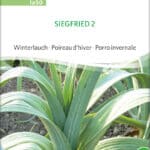 Porree Lauch Siegfried 2 samen bio saatgut sativa kompost&liebe kaufen online shop