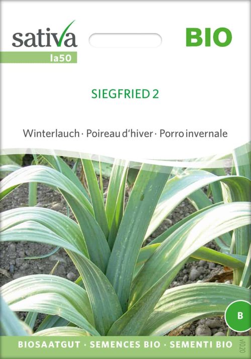 Porree Lauch Siegfried 2 samen bio saatgut sativa kompost&liebe kaufen online shop