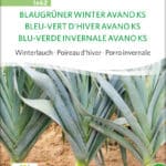 Porree Lauch Blaugrüner Winter Avano samen bio saatgut sativa kompost&liebe kaufen online shop