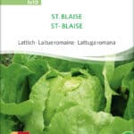 st. blaise lattich romanasalat römersalat Saatgut,Bio Sativa kompost und liebe kaufen alte sorten samenfest online shop garten selbstversorger