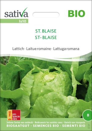 st. blaise lattich romanasalat römersalat Saatgut,Bio Sativa kompost und liebe kaufen alte sorten samenfest online shop garten selbstversorger